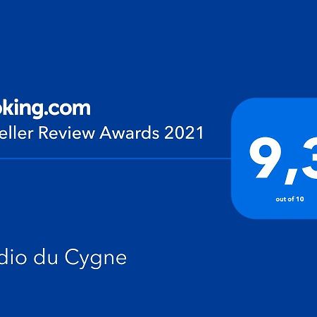 Апартаменты Studio Du Cygne Льеж Экстерьер фото