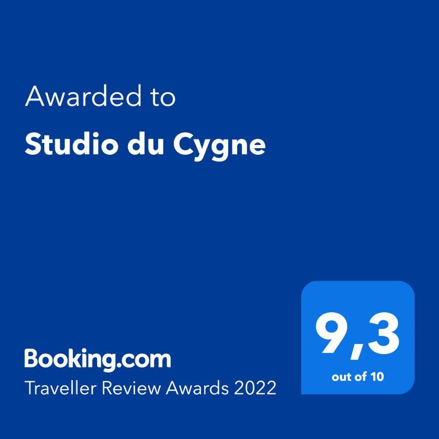 Апартаменты Studio Du Cygne Льеж Экстерьер фото